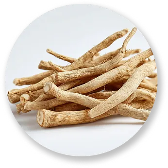 Ashwagandha KSM-66