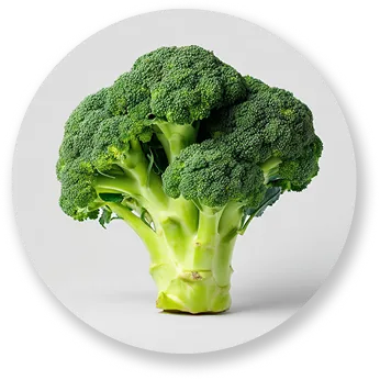 Vitamin K2